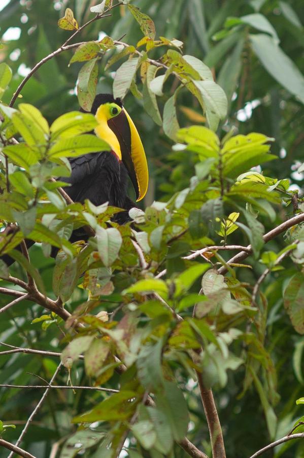 شقة Soul Sync Sanctuary Formally Hacienda La Moringa بلايا هيرموسا المظهر الخارجي الصورة