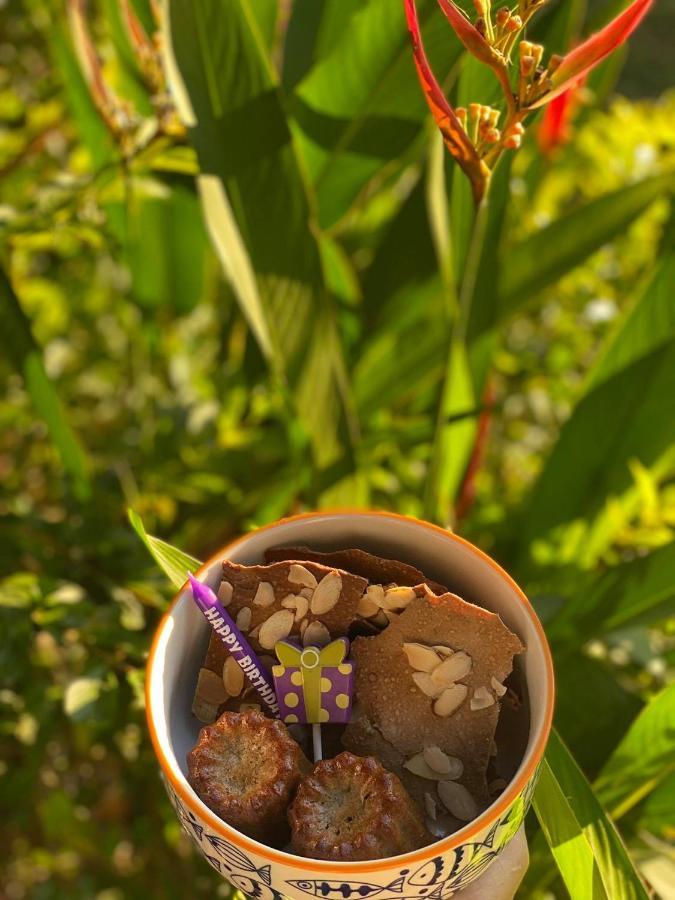شقة Soul Sync Sanctuary Formally Hacienda La Moringa بلايا هيرموسا المظهر الخارجي الصورة